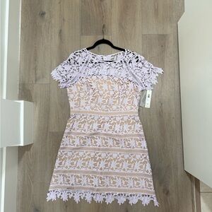 Eliza J Lavender Lace Mini Dress